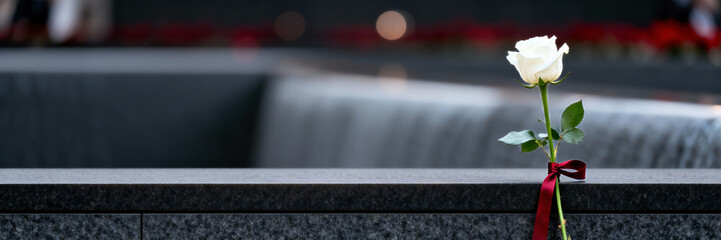 White rose with red ribbon on dark granite memorial. Single flower tribute with blurred water background. Holocaust remembrance day banner