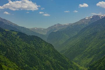 Wide panoramic view of a deep green mountain valley with forested slopes and distant peaks under a bright blue summer sky. Ideal for nature, travel and environmental themes. © ismailgazel