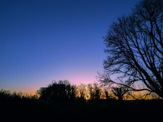 A beautiful sunset over a field with trees silhouette in the background. The sky is a deep blue color with a pink hue. Calm nature scene.