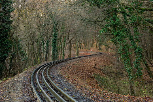 railway in the woods