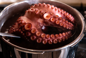 Boiled octopus cooking in stainless steel pot