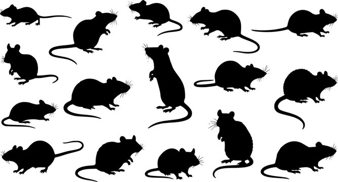 Collection of black silhouettes of mice and rats.
