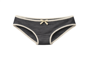 Gray panties with bow on a transparent background, women's underwear.