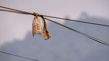 Plastic bags hang from an overhead power line, creating a striking scene against a softly blurred background.