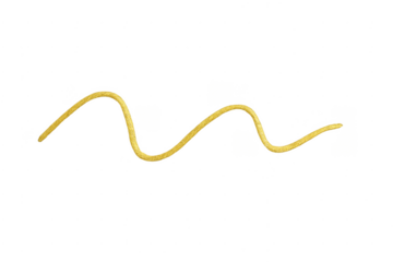 Golden glitter line waving on transparent background