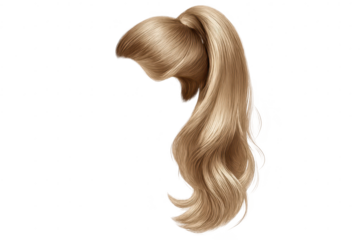 Blonde ponytail hairstyle with transparent background, shiny and long