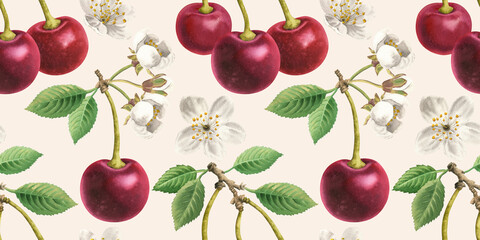 Seamless pattern beige background cherries in a row food watercolor illustration. Whole sweet cherry, berry core fruits, leaves, leaf, stalk, stems, flowers on branch watercolour hand drawn elements © Nataliia