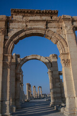 Roman Columns in Palmyra