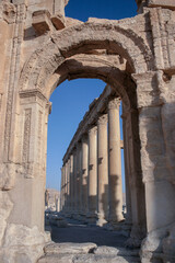 Roman Columns in Palmyra