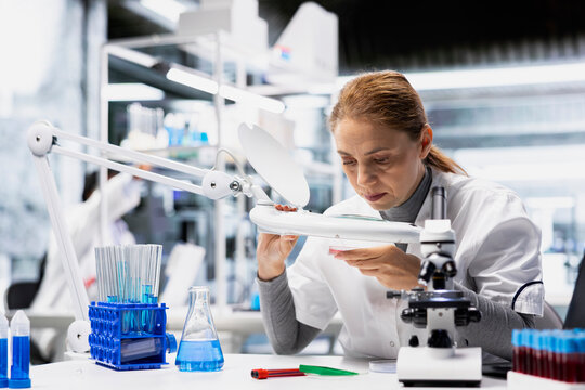 Lab technician checking bacterial growth on petri dish under lamp light. Microbiologist inspecting culture plate for visible colonies, studying germs in modern laboratory