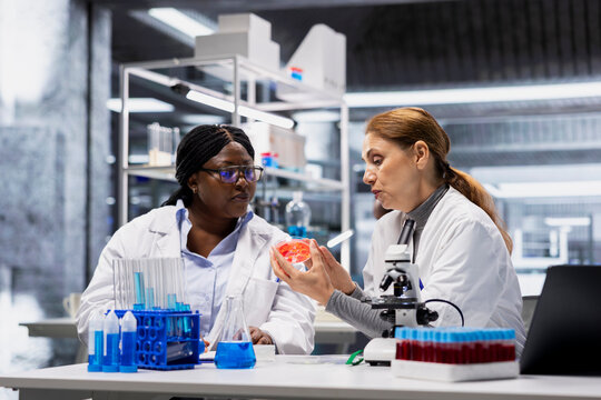 Team of lab experts checking bacterial growth on petri dish. Teamworking colleagues inspecting culture plate for visible colonies, studying germs in modern sterile laboratory