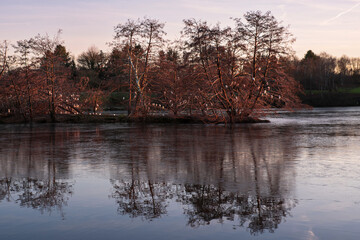 Dormitory for birds perched on trees in winter in the middle of a frozen lake in Burgundy