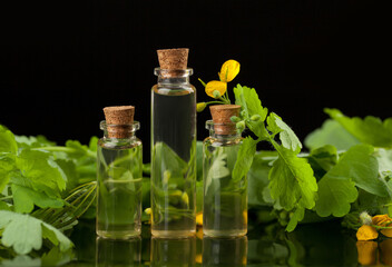 Essence of flowers on table in beautiful glass jar