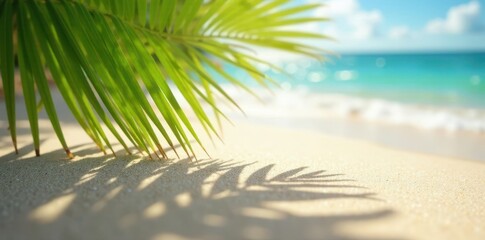 Sun-drenched sand, sharp coconut leaf shadow, blurry ocean, sun, tropical