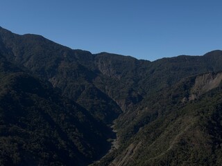 Fototapeta premium A calm minimalist scene of a single tree on a small hill under a soft pastel sky, with gentle light and a peaceful mood