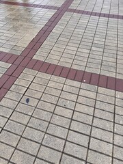Closeup View Of Tile Intersection Showcasing Beige And Red Textured Surfaces, Architectural Background Featuring Tiled Intersection With Symmetrical Patterns And Subtle Signs Of Wear