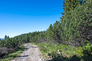 Rila mountain near Granchar Lake, Bulgaria