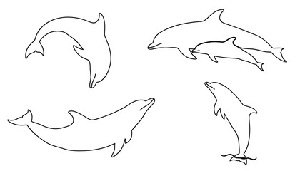 Dolphin Illustration Set