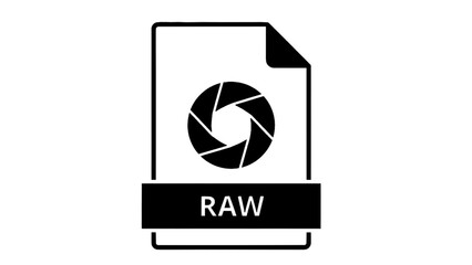 Vector illustration of a raw image file icon with a camera aperture symbol, on transparent background