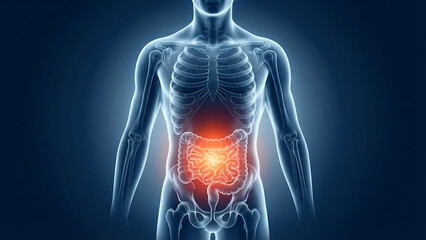Human Anatomy Illustration, Showing Glowing Intestines with Abdominal Pain, a Medical Health Concept on a Dark Background