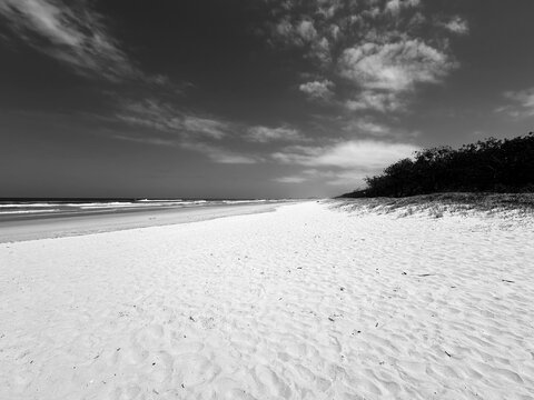 Quiet Shoreline At Casuarina Beach