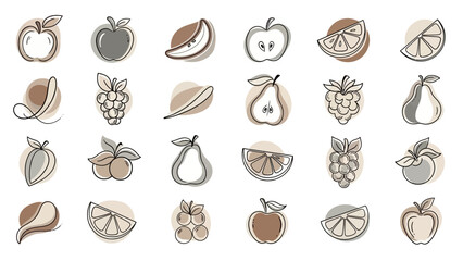 Collection of Hand Drawn Fruit Illustrations in a Minimalist Style.