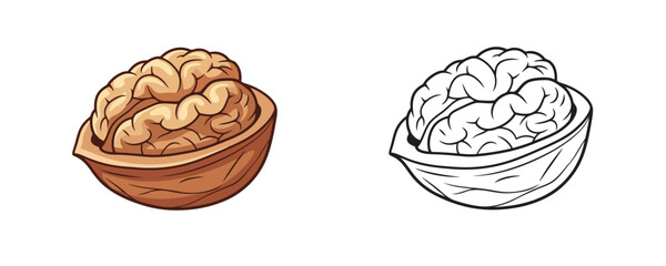 Open walnut halves in cartoon and line art styles featuring brown tones and black outlines representing healthy snack ingredients for cookbooks or educational materials