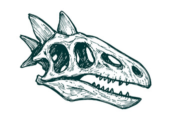 Stegosaurus hand drawn simple sketch vector illustration © Shutoda