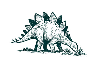 Stegosaurus hand drawn simple sketch vector illustration © Shutoda
