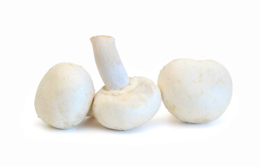 A sections of mushroom in bowl on white