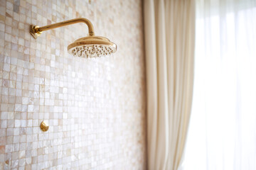 Moroccan zellige tile wall with elegant gold shower head and soft natural light from window creates serene and luxurious bathroom atmosphere