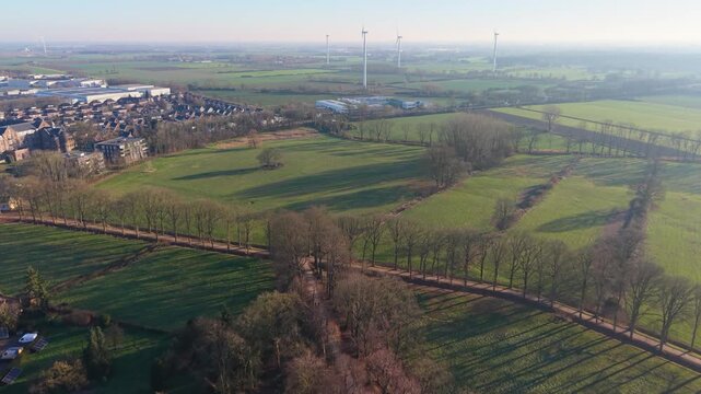 Aerial view of Dutch countryside diagonal tree lined road with long shadows, green fields, scattered homes, and distant wind turbines forming a calm, sustainable rural landscape.