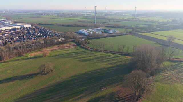Aerial view of Dutch countryside diagonal tree lined road with long shadows, green fields, scattered homes, and distant wind turbines forming a calm, sustainable rural landscape.