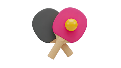Ping Pong Paddles and Ball