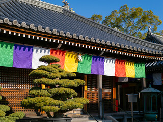正月飾りが付けられた寺院の護摩堂