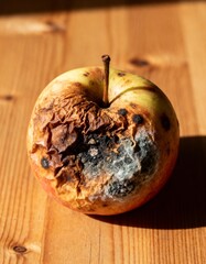 rotten apple