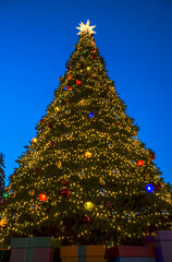 Massive outdoor Christmas tree is brightly lit with numerous golden lights and colorful ornaments, topped with a large white star against a dark blue evening sky