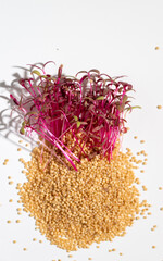 Red Stemmed Amaranth Microgreens on Light Background