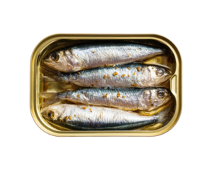 Sardines in a gold rectangular tin, shiny silvery skin, dark background