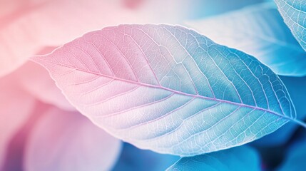 Pastel leaf macro, garden bokeh, soft light, nature background, design