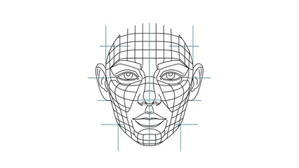 Wireframe Face Grid for Artistic Study and Anatomy Illustration.