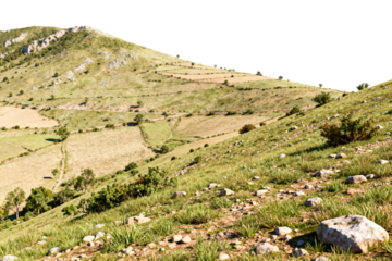 Rolling Green Hills with Rocky Terrain and Fields