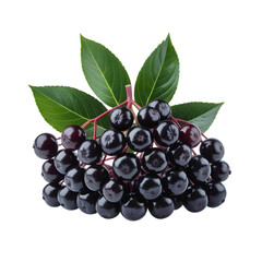 Vibrant cluster of fresh elderberries with green leaves, perfect for health and wellness content