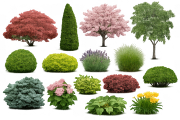 Garden plants set with various trees, flowering shrubs, and ornamental bushes for landscaping design concept