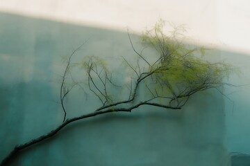 A delicate green branch with leaves curves across a softly lit, textured wall