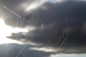 Closeup of a dewcovered spider web glistening in the sunlight against a cloudy sky