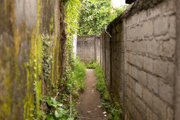 A curated collection of high quality travel photography captured across Bali, Indonesia. This image...