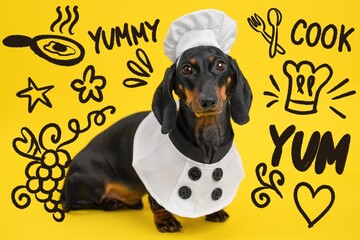 A black and tan dachshund sits against a bright yellow background wearing a white chef uniform and hat, surrounded by cooking and food-themed doodles