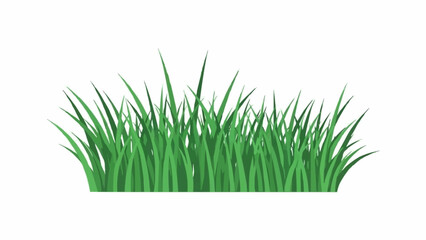 Green grass illustration isolated on white background. © Vita