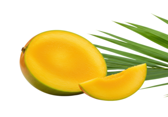 Meticulously cut fresh mango half and wedge, vibrant orange flesh, yellow-green skin, transparent background, blurred palm frond, soft studio light, tropical freshness concept.
